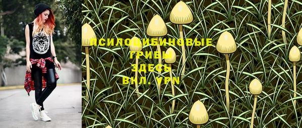винт Наволоки