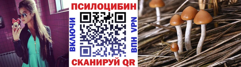 что такое   мега ONION  Псилоцибиновые грибы мицелий  Советская Гавань 
